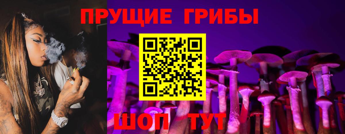 Каменск-Уральский  Галлюциногенные грибы Psilocybe  Вход с VPN  Псилоцибиновые грибы Psilocybine cubensis 
